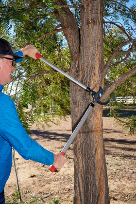 Corona Clipper SL 6500 radialarc blades in action cutting thick branches.