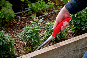 Corona CT 3050I Weeder in garden scene ready for precise digging.