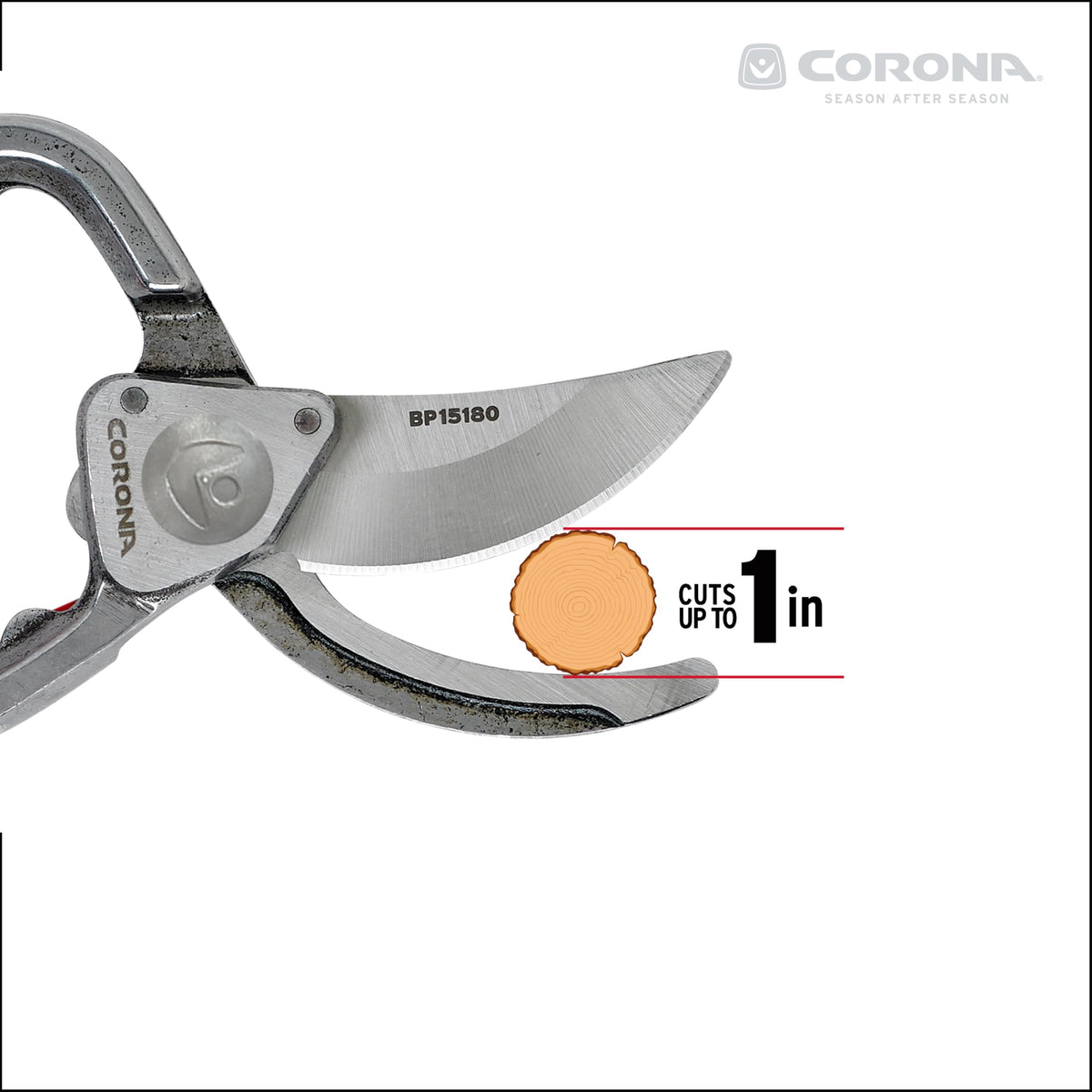 Corona forged steel construction emphasizes durability for regular garden pruning.