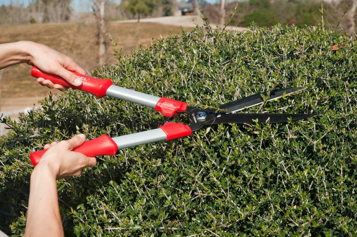 Corona HS3244 dense foliage trim enables controlled cuts in tight spaces.