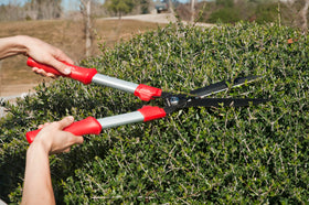 Corona HS3244 dense foliage trim enables controlled cuts in tight spaces.