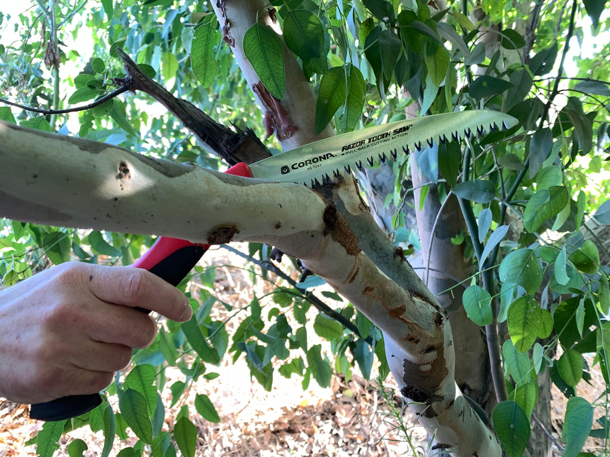Corona RS 7245 folding saw ergonomic handle for comfort