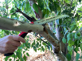Corona RS 7245 folding saw ergonomic handle for comfort