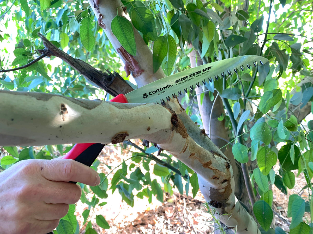 Corona RS 7245 compact folding saw fits in belt