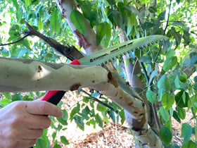 Corona RS 7245 compact folding saw fits in belt