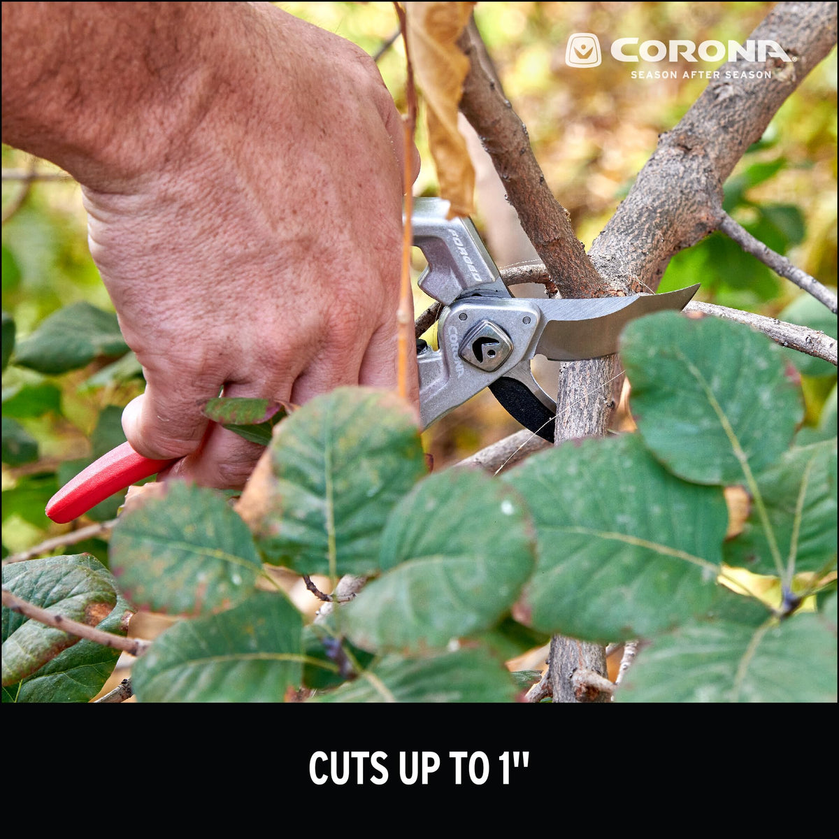 Corona XSeries Pro Bypass Pruner demonstrates reliable pruning performance.