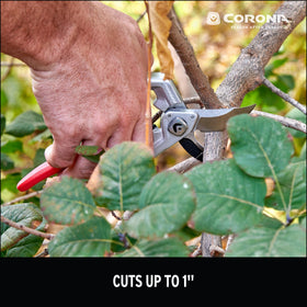 Corona XSeries Pro Bypass Pruner demonstrates reliable pruning performance.