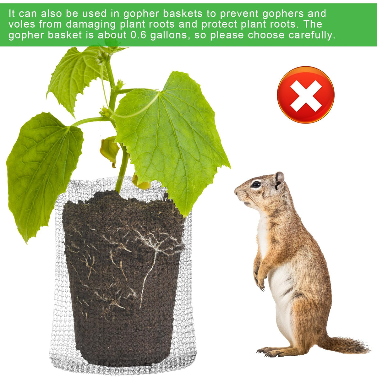 Cosblank durable stainless steel mesh bags withstand seasonal garden use.