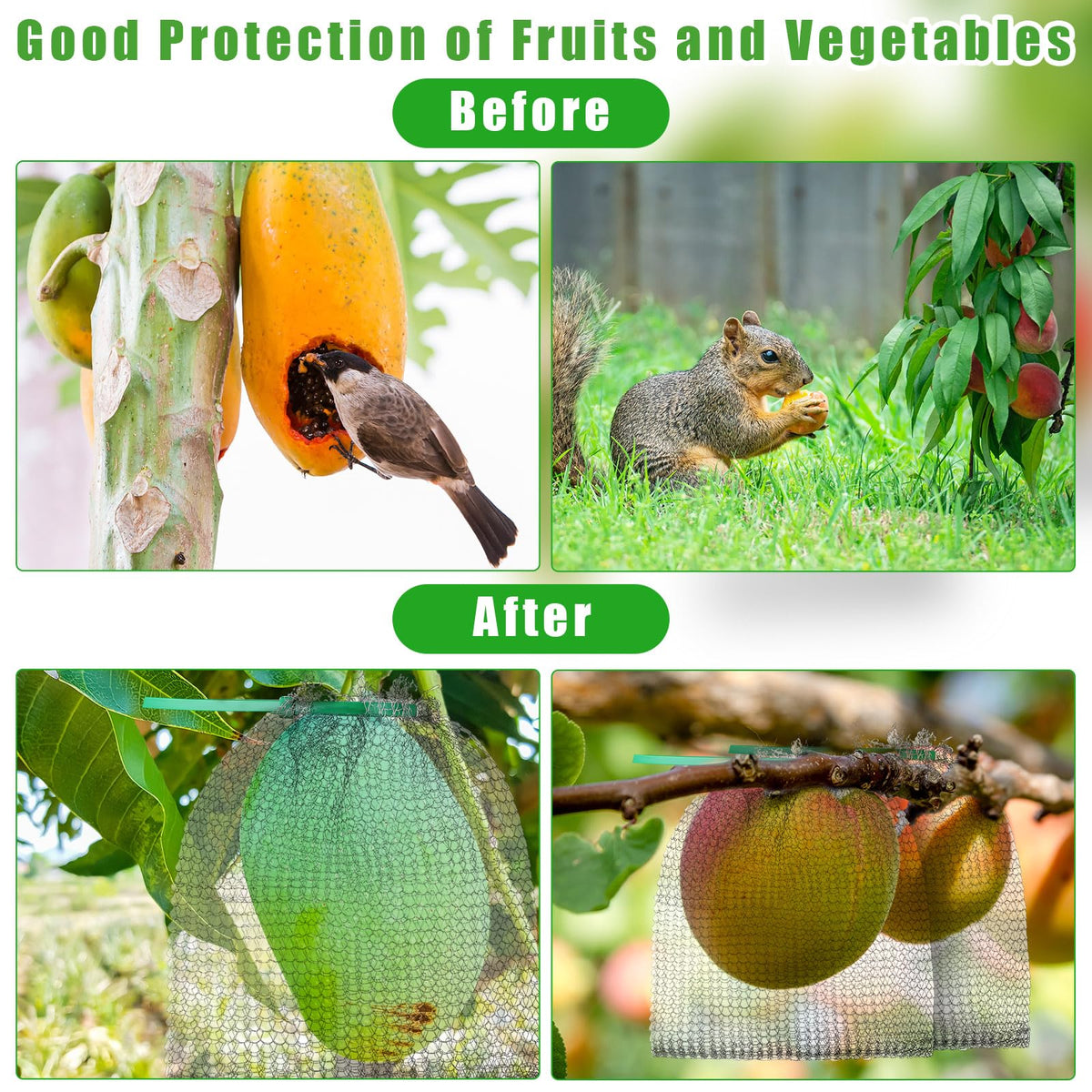 Cosblank protects peaches, apples, mangoes, grapes and berries.