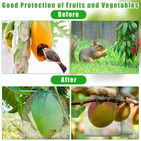 Cosblank protects peaches, apples, mangoes, grapes and berries.