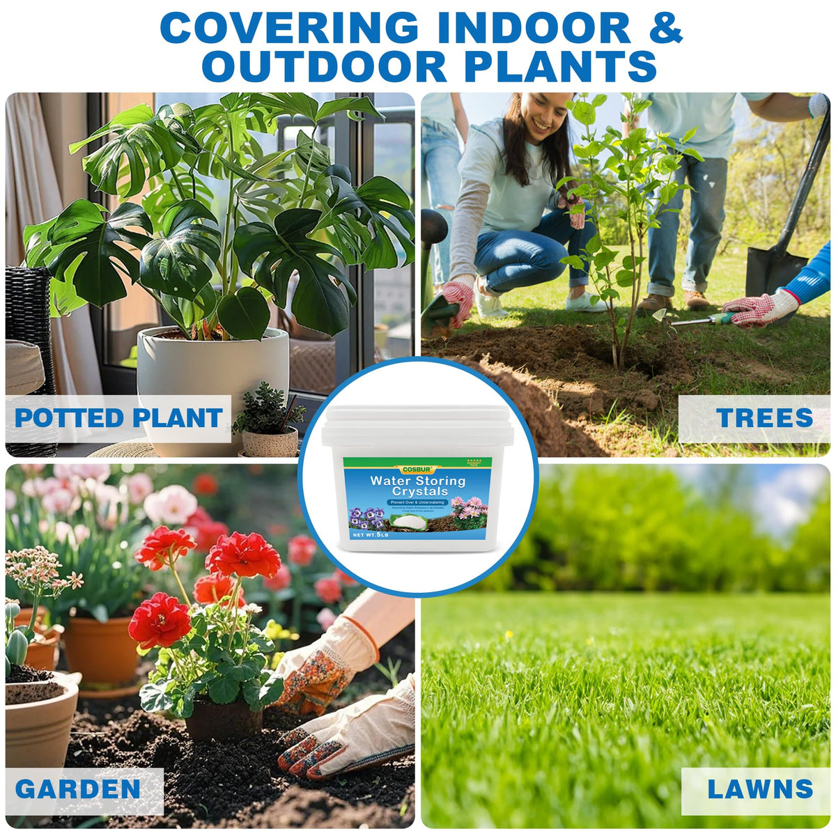 Cosbur crystals help avoid drought stress in potted plants