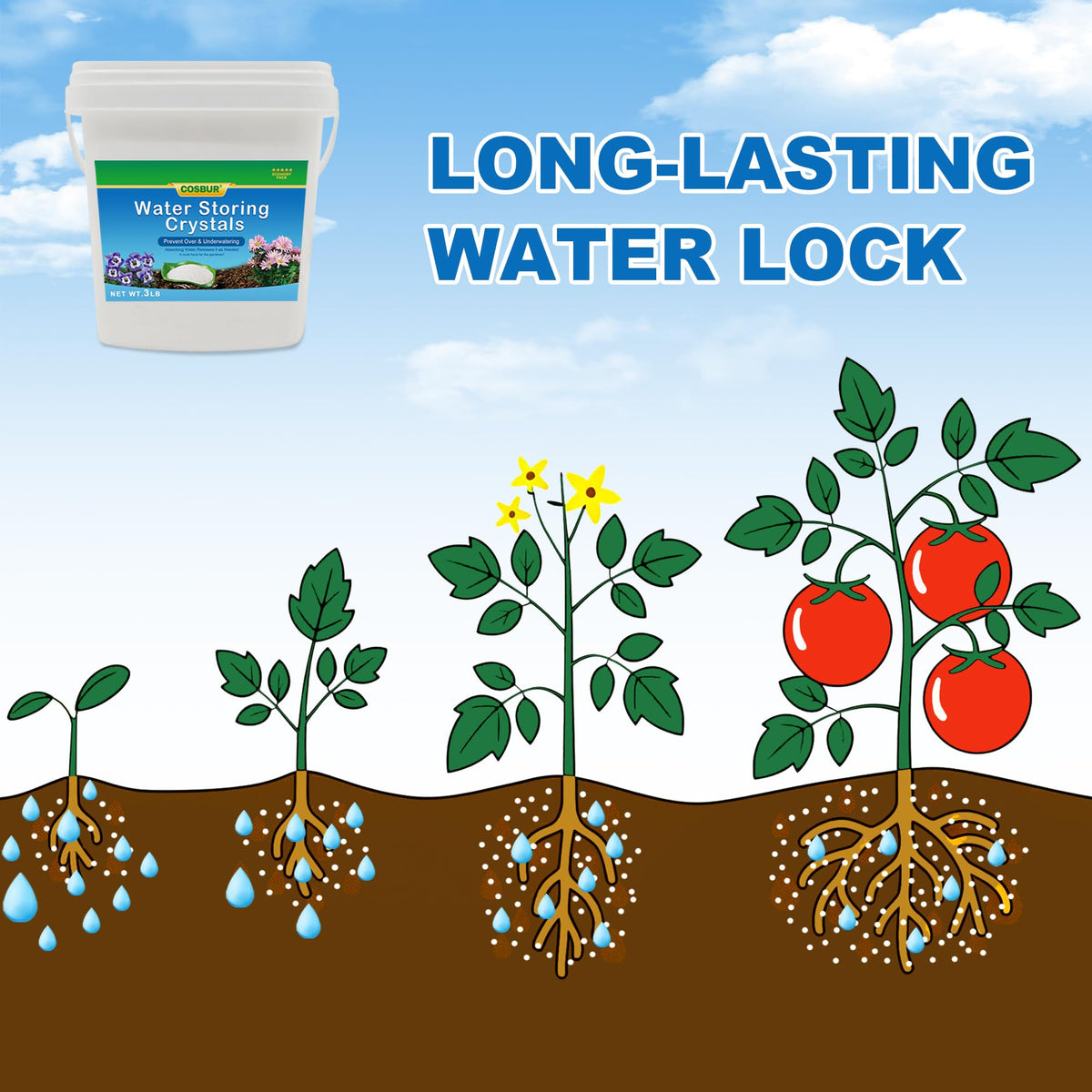 Cosbur water crystals gel beads in soil regulate moisture for plants.