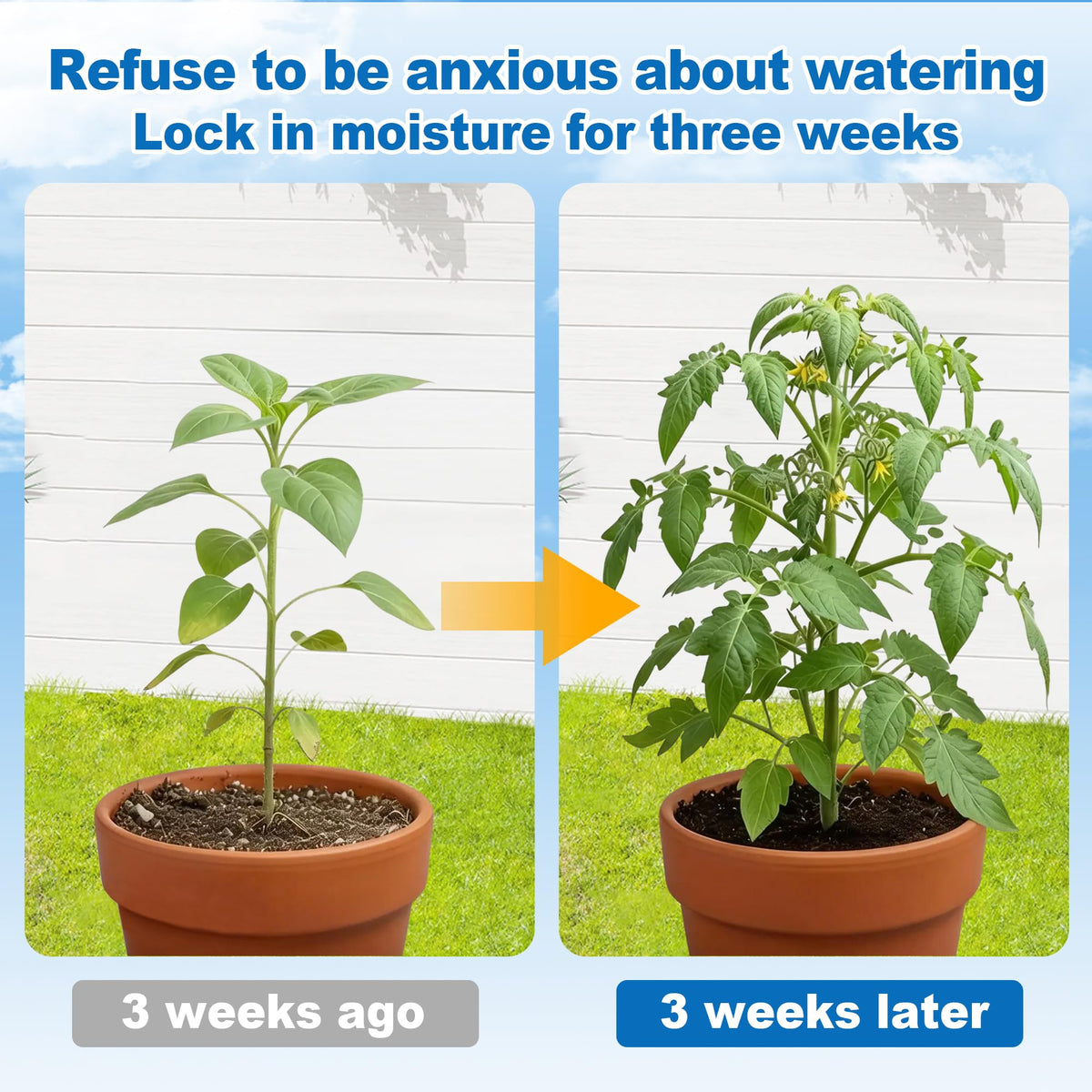 Cosbur water crystals absorb moisture and release it for steady watering.