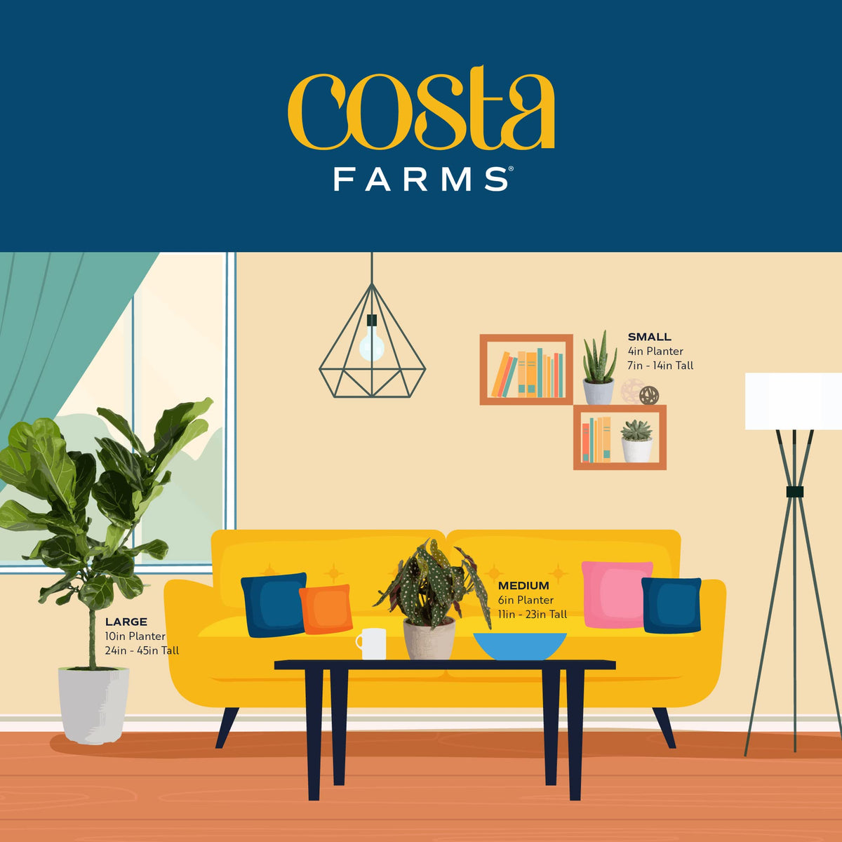 Costa Farms bright indirect-light setup enhances small-space decor