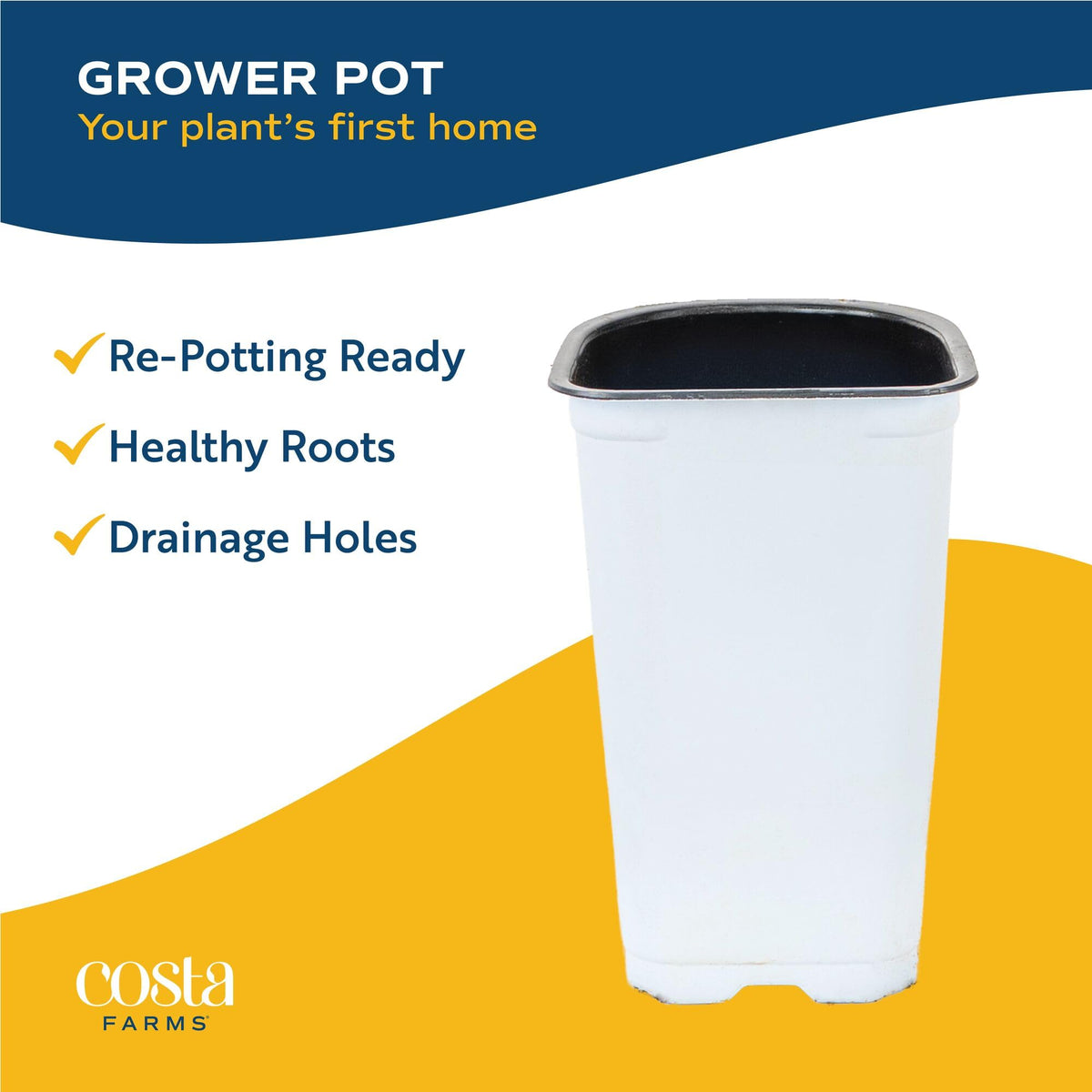 Costa Farms decorative planters pair with nursery pots for instant styling.