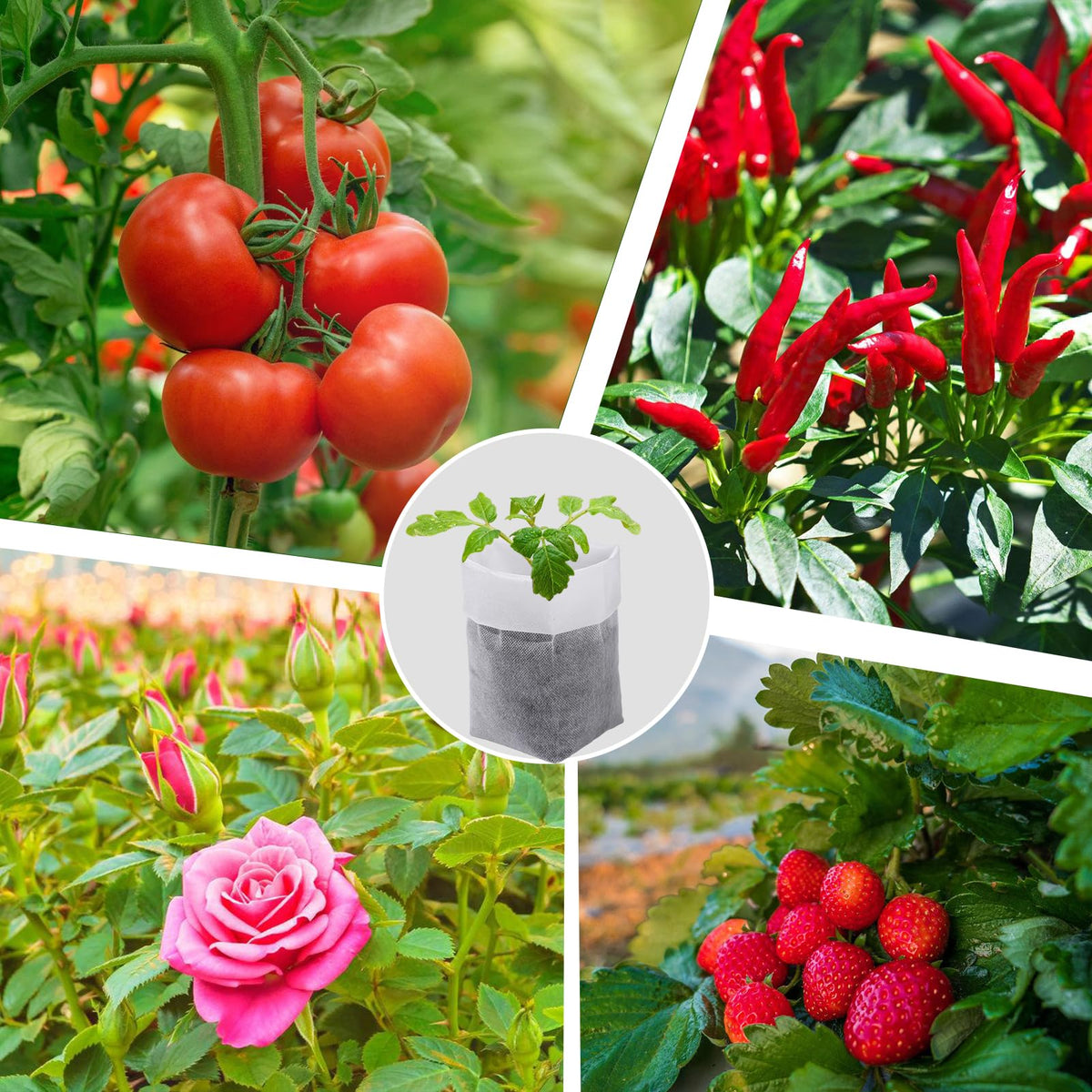 Cosweet 60-piece pack suitable for indoor and outdoor gardening