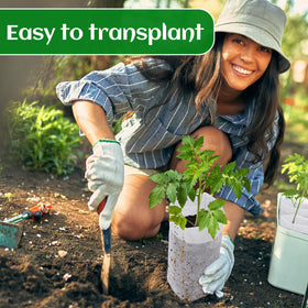 Cosweet multi-purpose bag for seeds, flowers, and rooted vegetables.