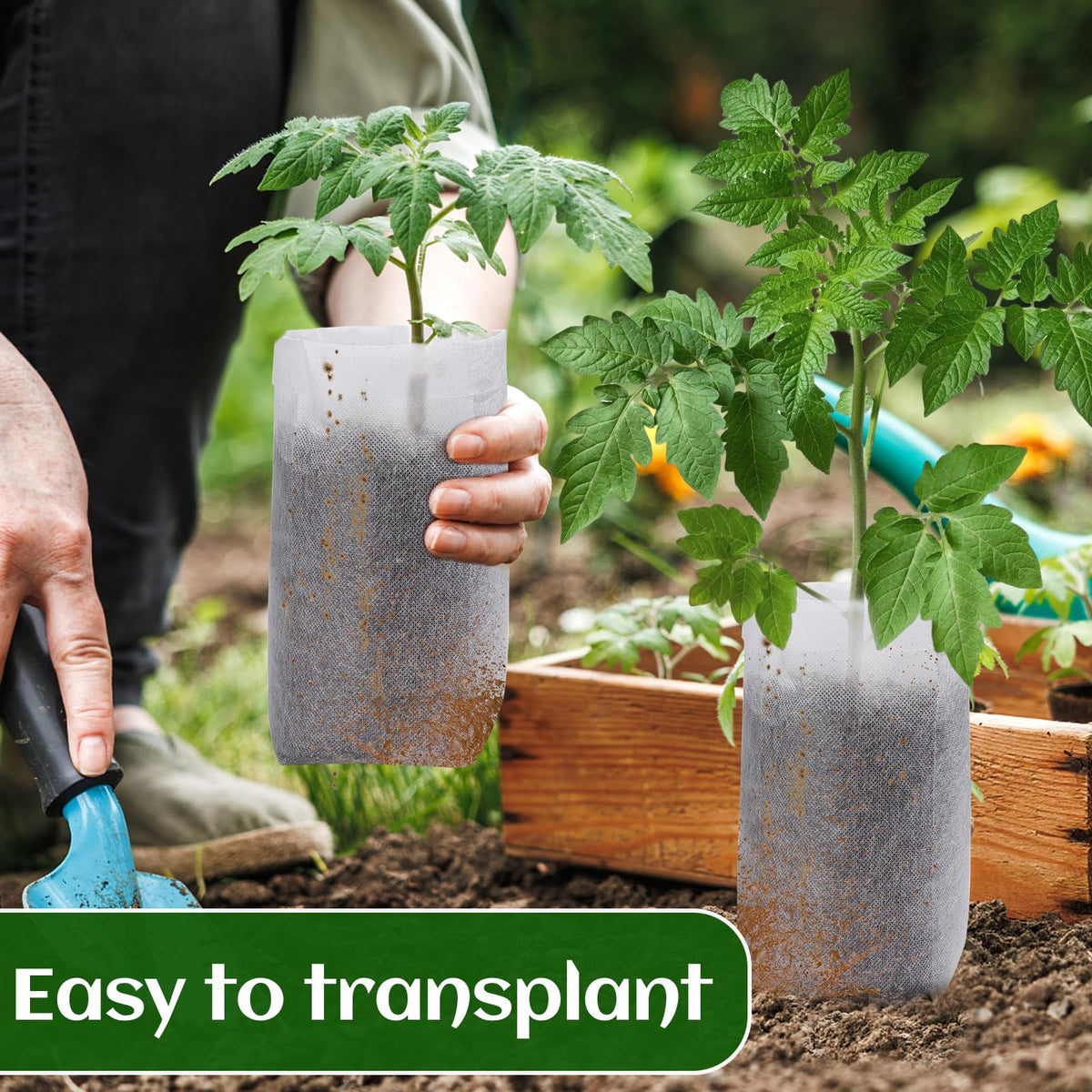 Cosweet multi-purpose bags for seeds flowers and rooted vegetables