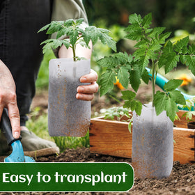 Cosweet multi-purpose bags for seeds flowers and rooted vegetables