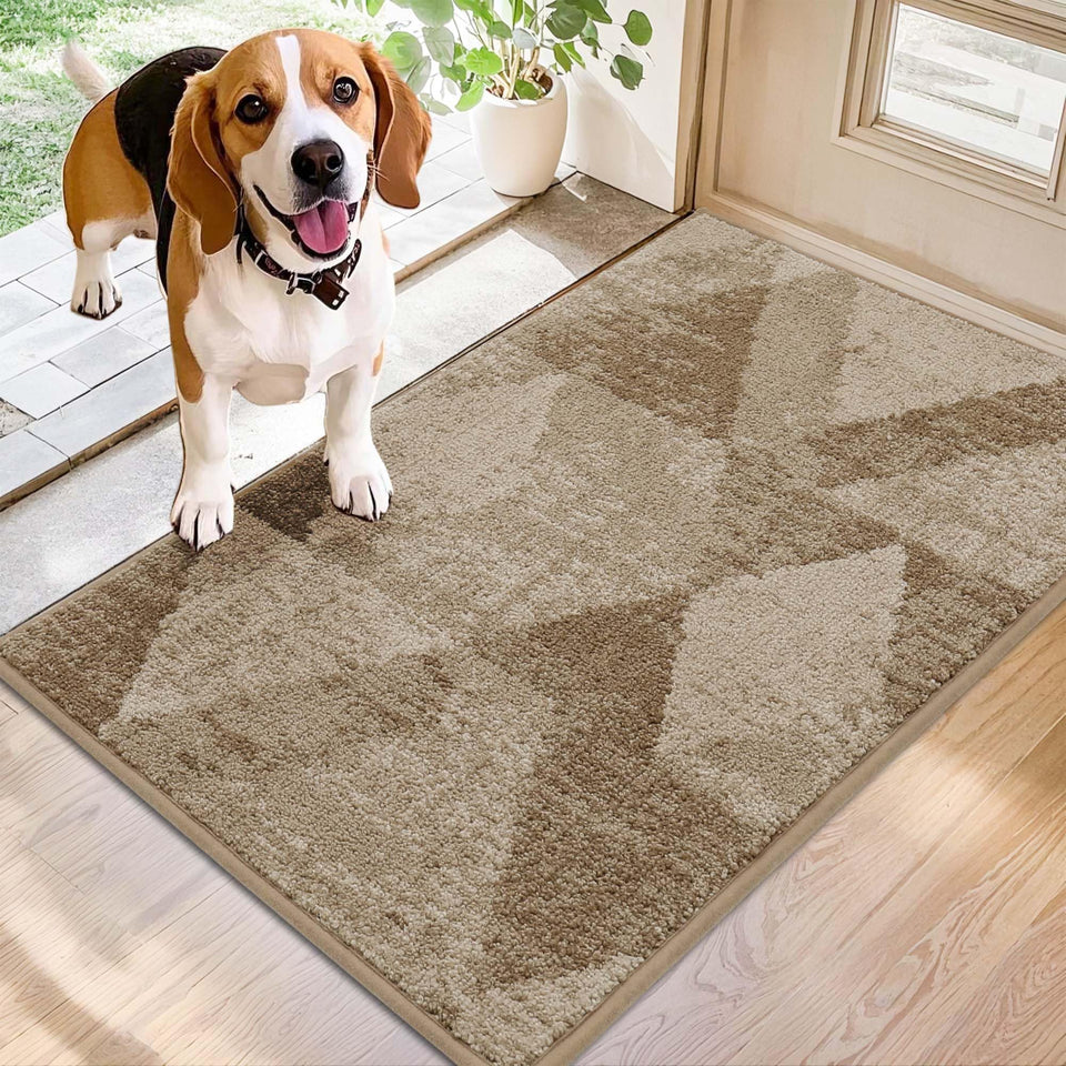 COSY HOMEER entryway rug front door traps dirt and moisture.