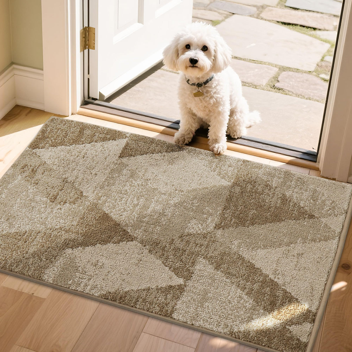 COSY HOMEER entryway rug at the front door in beige keeps dirt and moisture at bay.