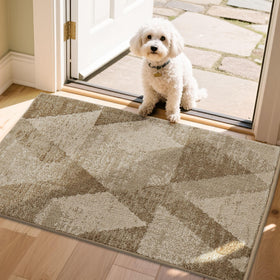 COSY HOMEER entryway rug at the front door in beige keeps dirt and moisture at bay.