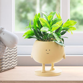COTYNI Face Plant Pots with a smiling face for vibrant indoor succulents.