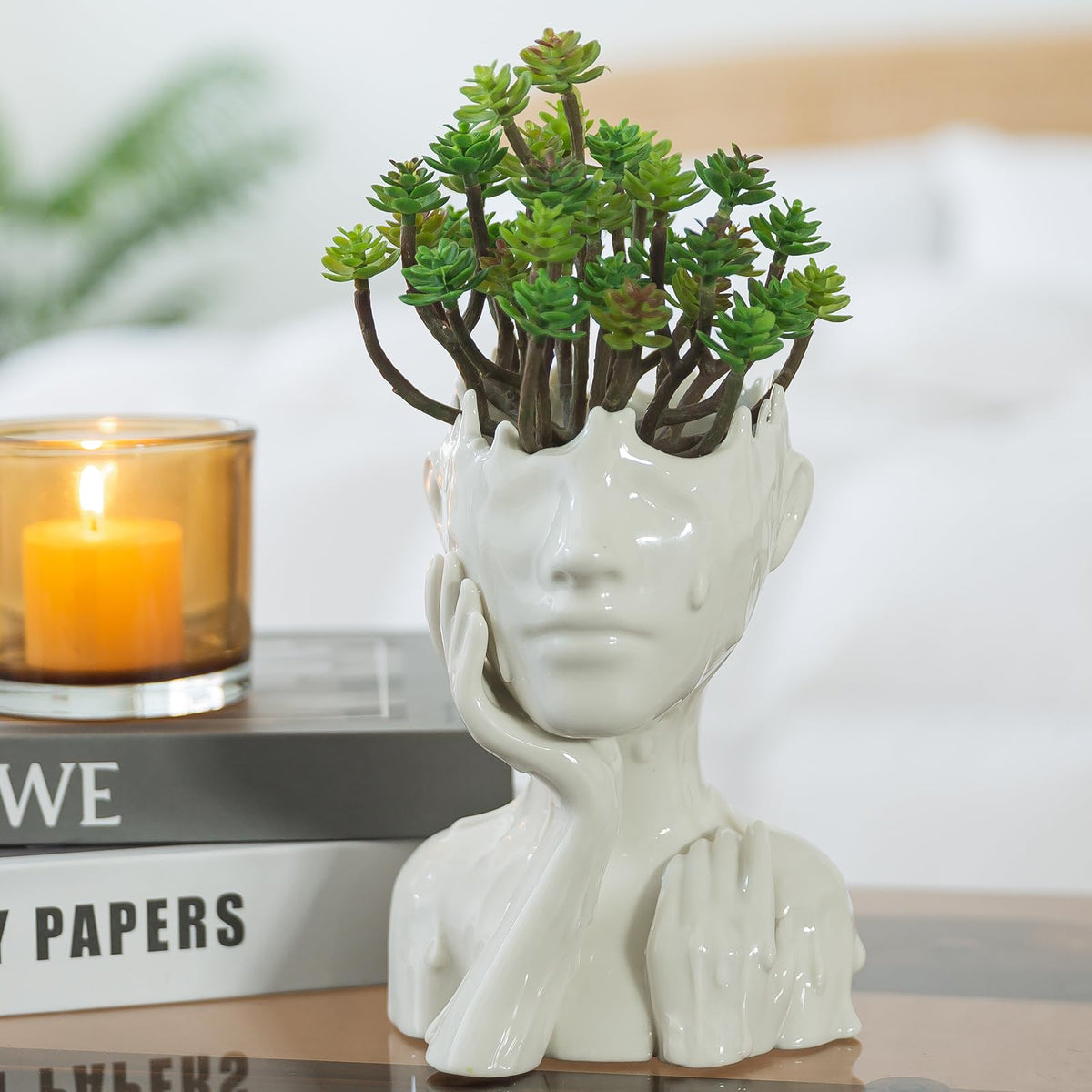 COTYNI face planter used as office decor on a sunny table