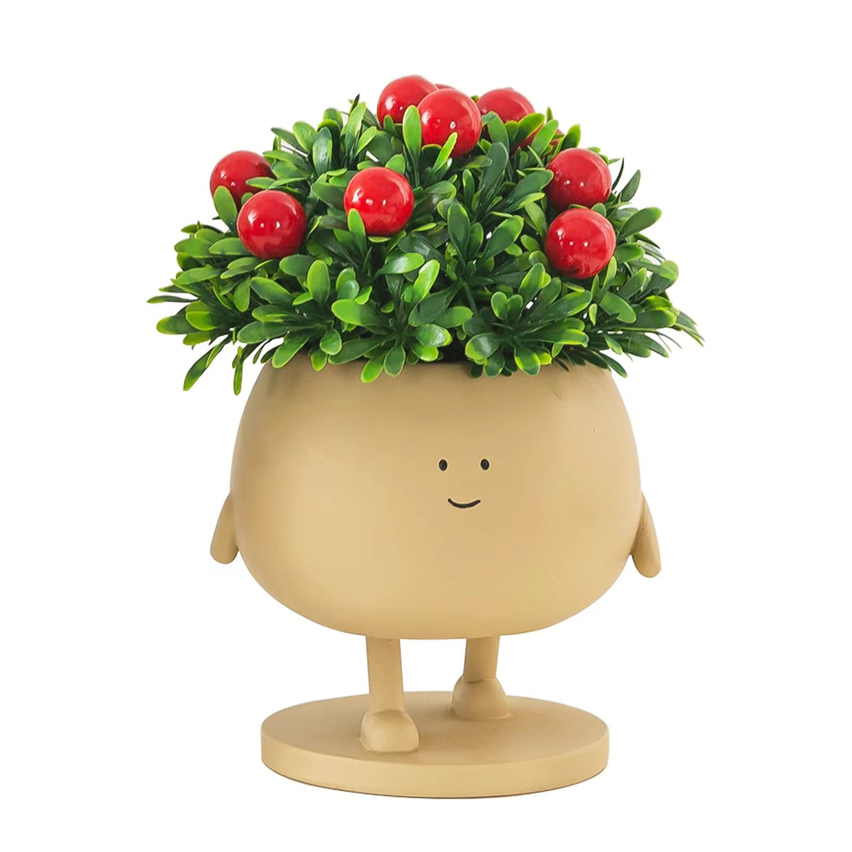 COTYNI Indoor-Outdoor Face Pot suitable for versatile plant setups and gifting.
