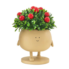 COTYNI Indoor-Outdoor Face Pot suitable for versatile plant setups and gifting.