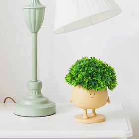 COTYNI Small Planter Pots ideal for tiny plants and desks.