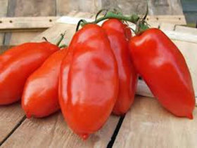 Country Creek Acres San Marzano tomatoes ready for sauce-making.