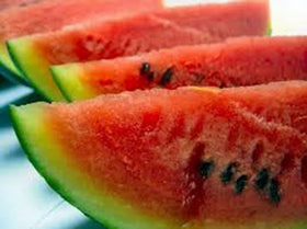 Country Creek Acres Watermelon Charleston Grey harvest ready, large and flavorful.