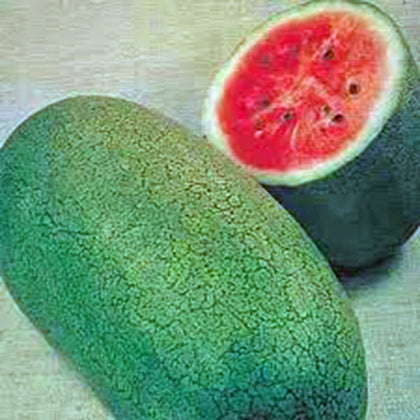 Country Creek Acres Watermelon Charleston Grey seed pack, ideal for easy home gardening.