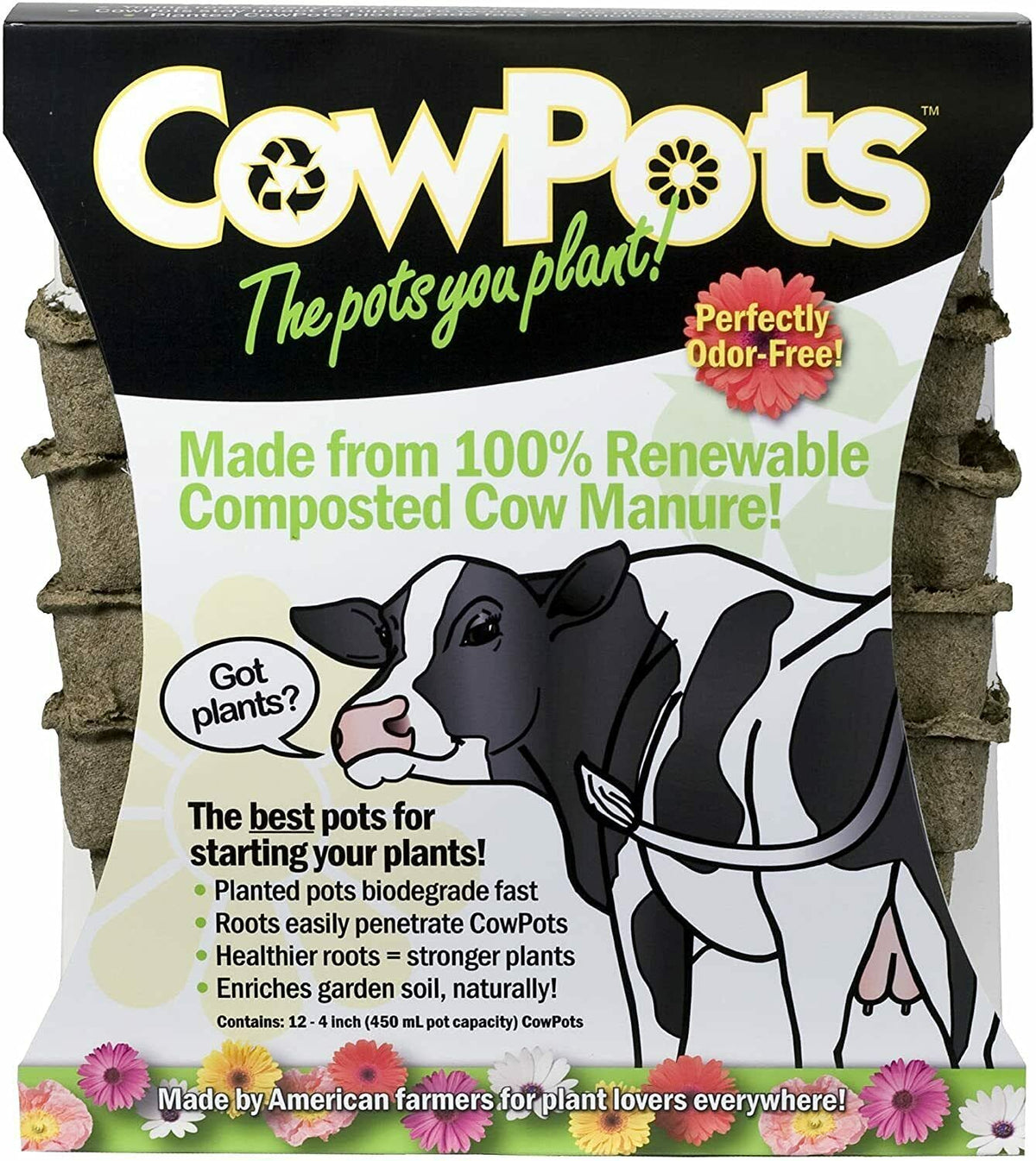 CowPots square 4-in plantable pot ready for seedling start and soil transplantation.