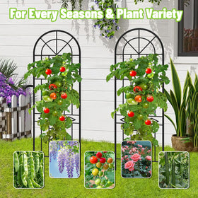 COZEER garden trellis-outdoor use suits courtyards and patios.