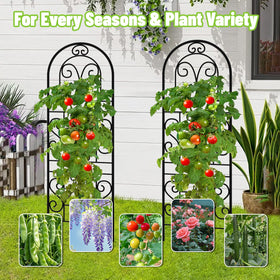 COZEER outdoor garden trellis suitable for lawns and raised beds.