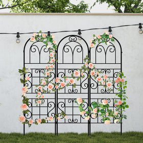 COZEER versatile trellis for indoor decorative vines.