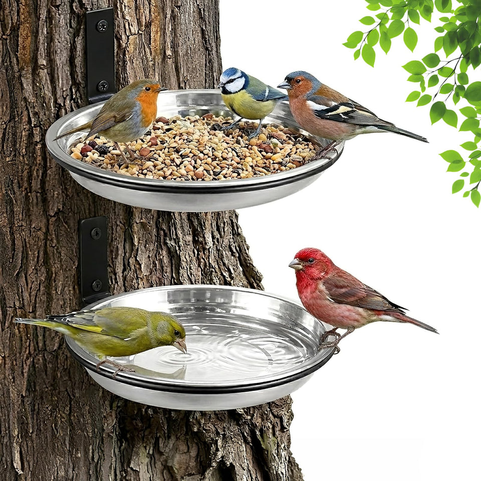 Cozfur bird feeder tree mount in sunlight attracts songbirds to your garden.