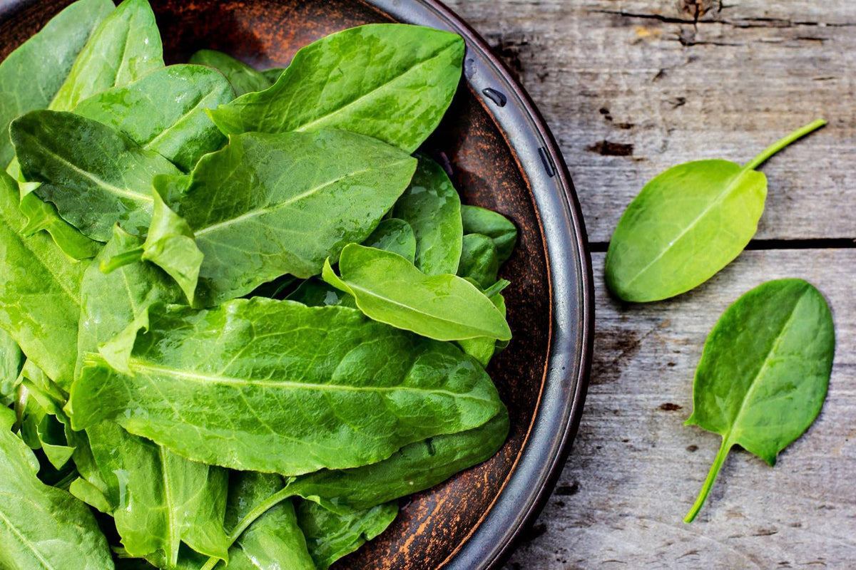 Cozy Crib garden sorrel seeds packet for easy spring planting and lemony greens