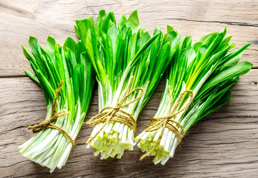 Cozy Crib Wild Garlic Seeds Packet for flavorful perennial harvest