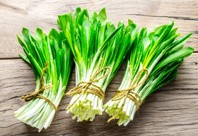 Cozy Crib Wild Garlic Seeds Packet for flavorful perennial harvest