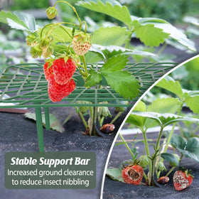 COZYDIG compact green garden solution fits small spaces
