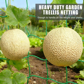 COZYDIG heavy-duty PE trellis withstands wind and weather for durable garden support.