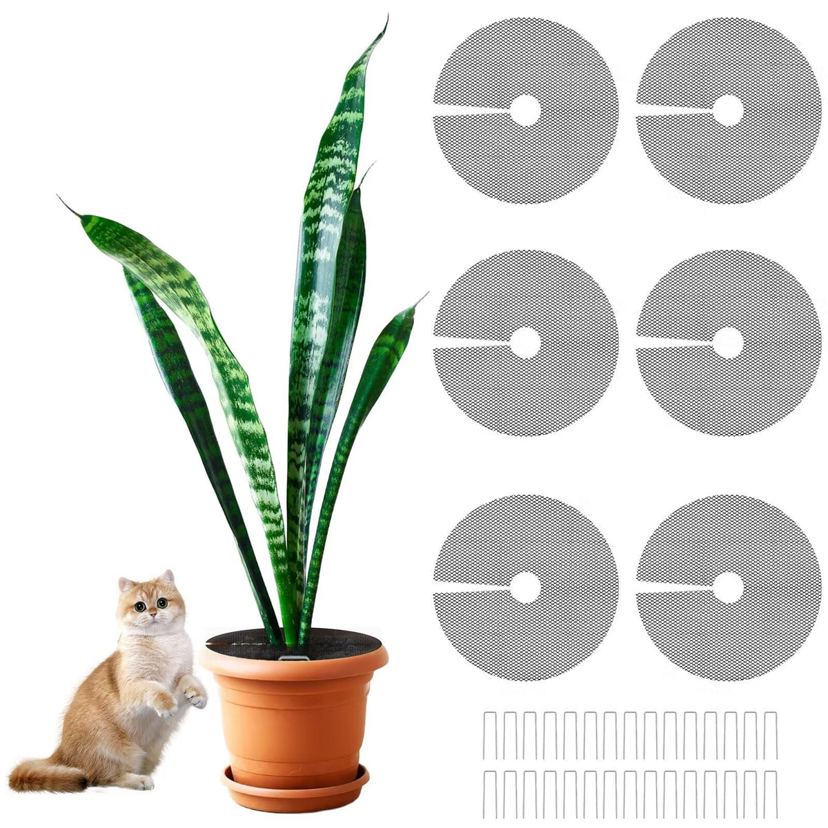 COZYDIG plant pot grid cover in action protecting soil from pet digging.