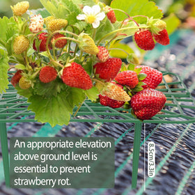 COZYDIG mesh covers shield harvest while maintaining visibility and airflow