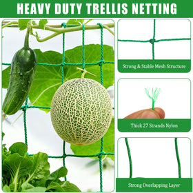 COZYDIG cucumber support grid helps tidy fruiting and easier harvest.