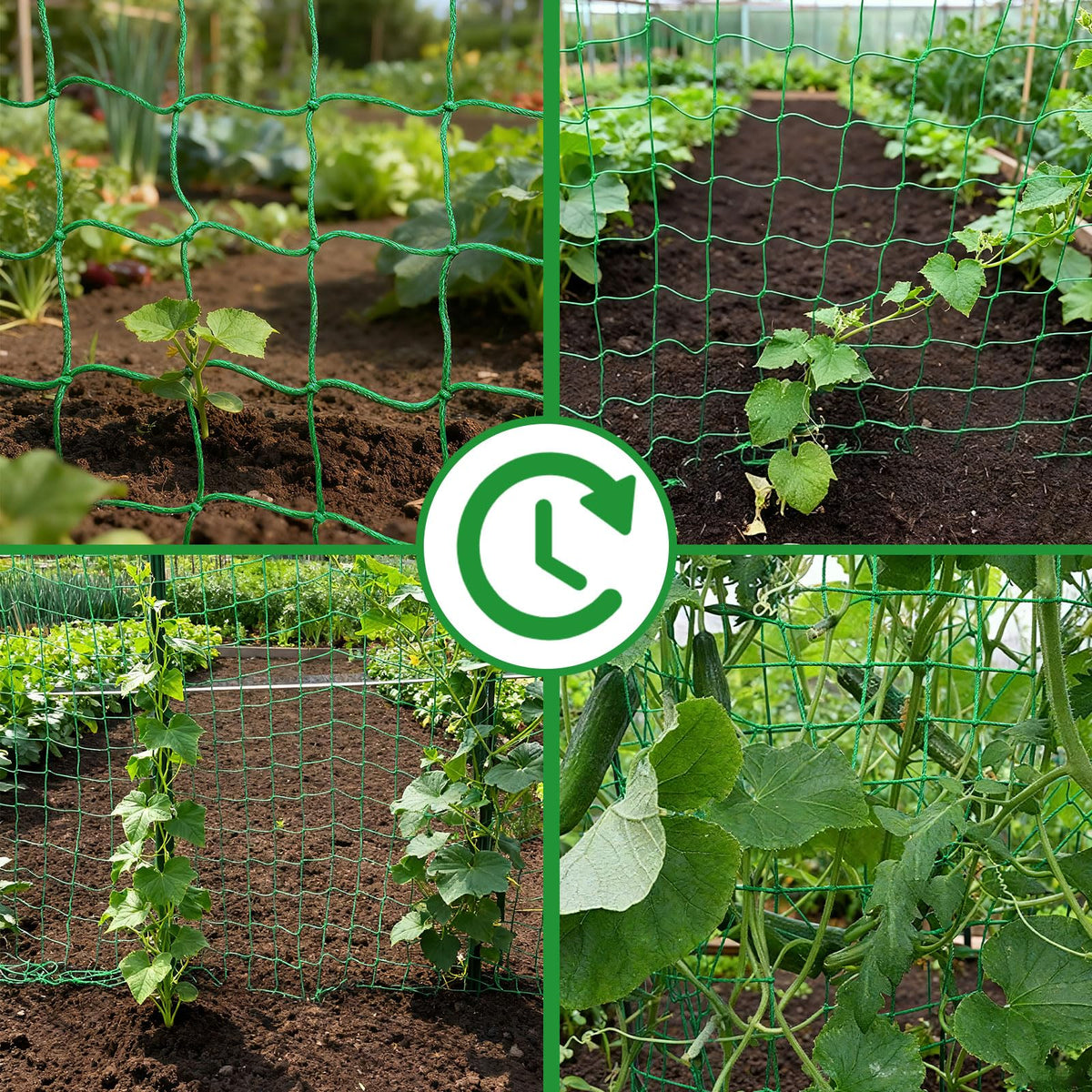 COZYDIG large-grid trellis supports heavy fruits and vines.
