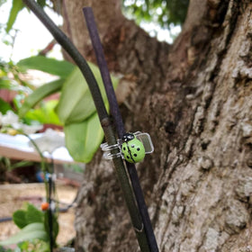 cozyou easy-release clip allows quick adjustments as plants grow