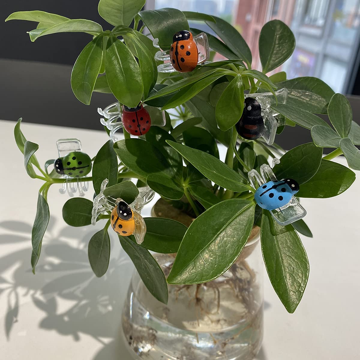 cozyou flower clip spring design provides gentle support for stems